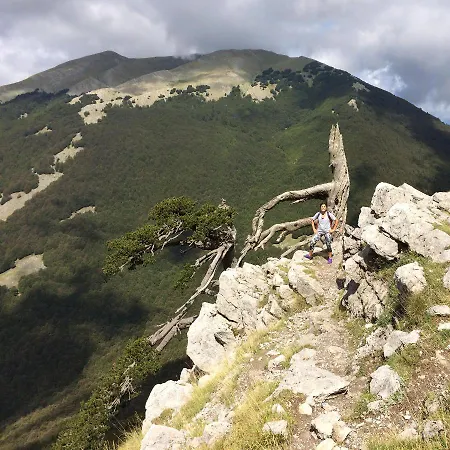 Del Pollino