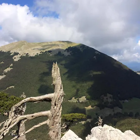 Del Pollino