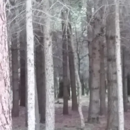 Del Pollino * Fardella